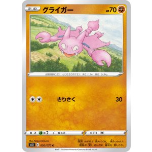 画像: 【S5I】グライガー【C】