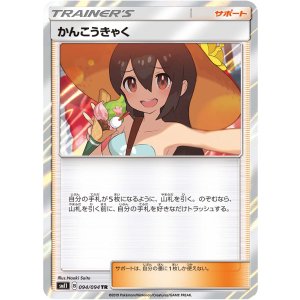 画像: 【SM11】かんこうきゃく【TR】