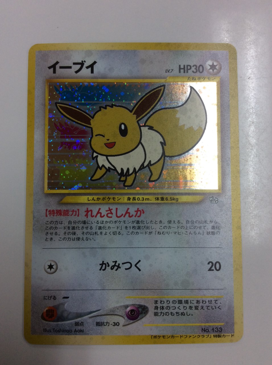 実物写真 イーブイ ポケモンカードファンクラブ ポケモンカード 実物写真 イーブイ ポケモンカードファンクラブ ポケモンカード