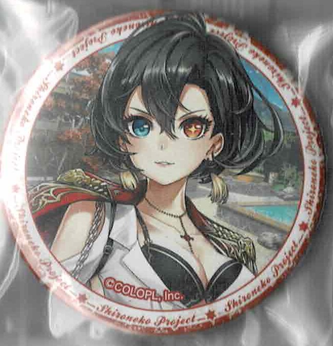 画像1: アイシャ　バッジ