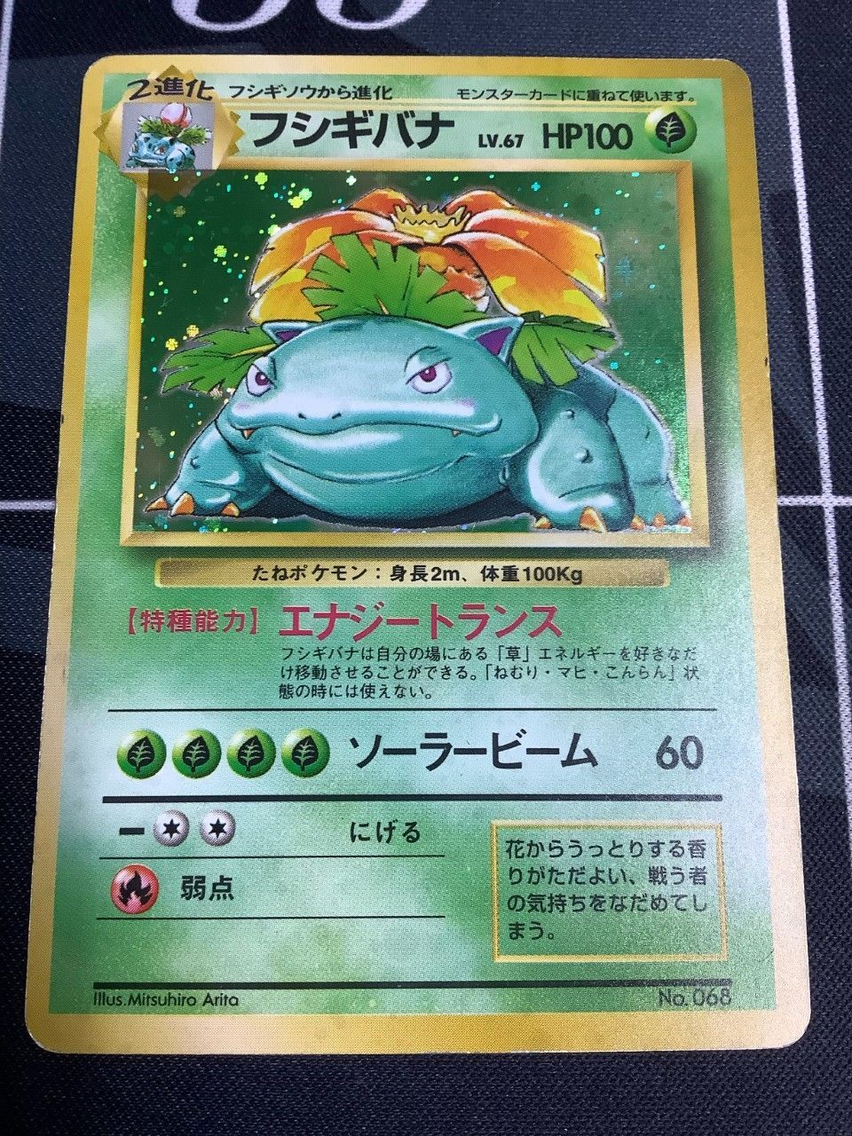 在庫処分 フシギバナ旧裏 dinogrip.com