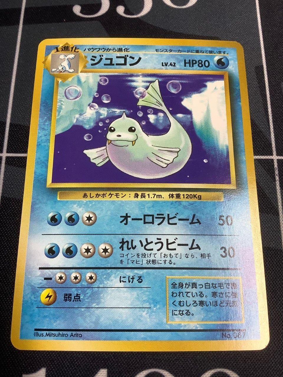 画像1: ジュゴン　初版　レアリティシンボルなし　第1弾 　旧裏 状態NM-