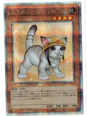 画像1: レスキューキャット【クォーターセンチュリーシークレット】【絵違い】