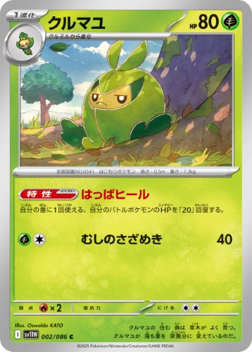 画像1: 【sv11W】クルマユ【C】
