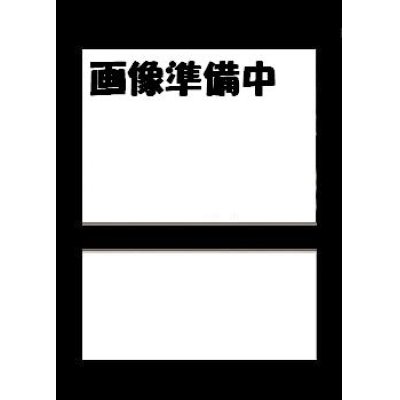 画像1: 【sv11W】ゾロアーク【R】【モンスターボールミラー】