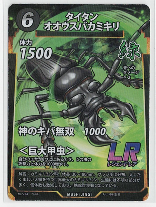 画像1: タイタンオオウスバカミキリ【LR】【蟲神器】状態VG