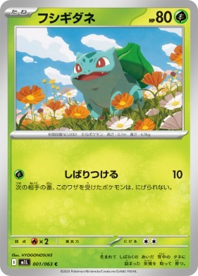 画像1: 【M1L】フシギダネ【C】