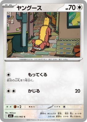 画像1: 【M1L】ヤング―ス【C】