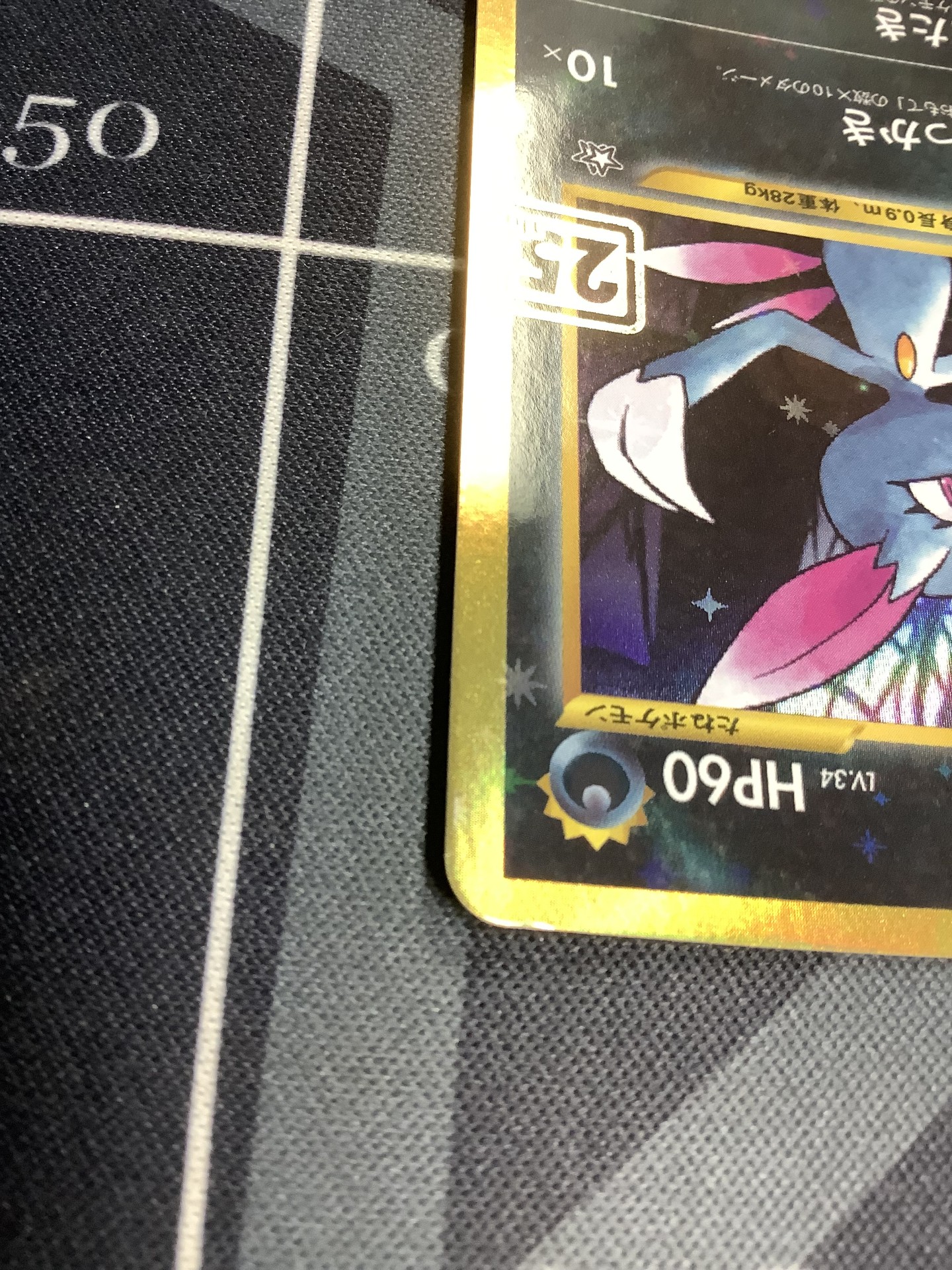 画像11: ニューラ  (ポケモンカード クリーチャーズデッキ 25th クリエイター配布品)　状態NM-【実物写真】