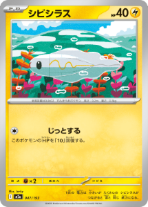 画像1: 【M2a】シビシラス【-】