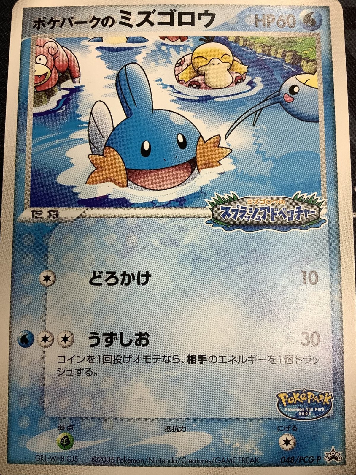 画像1: 【プロモ】ポケパークのミズゴロウ　状態EX-