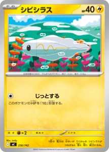 画像1: 【MC】シビシラス【-】