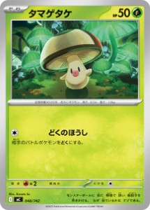 画像1: 【MC】タマゲタケ【-】