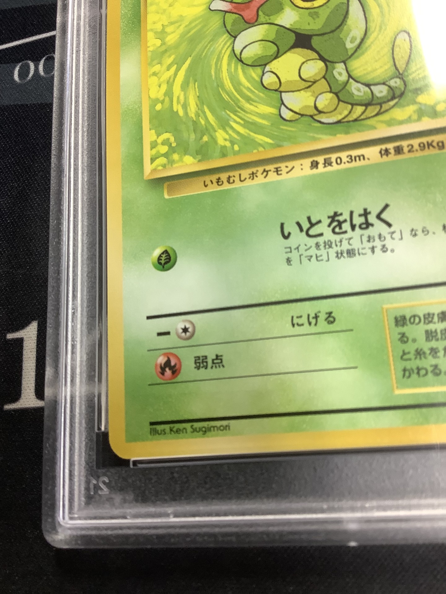 画像5: 【PSA9】キャタピー　初版 レアリティシンボルなし 第1弾  旧裏【実物写真】