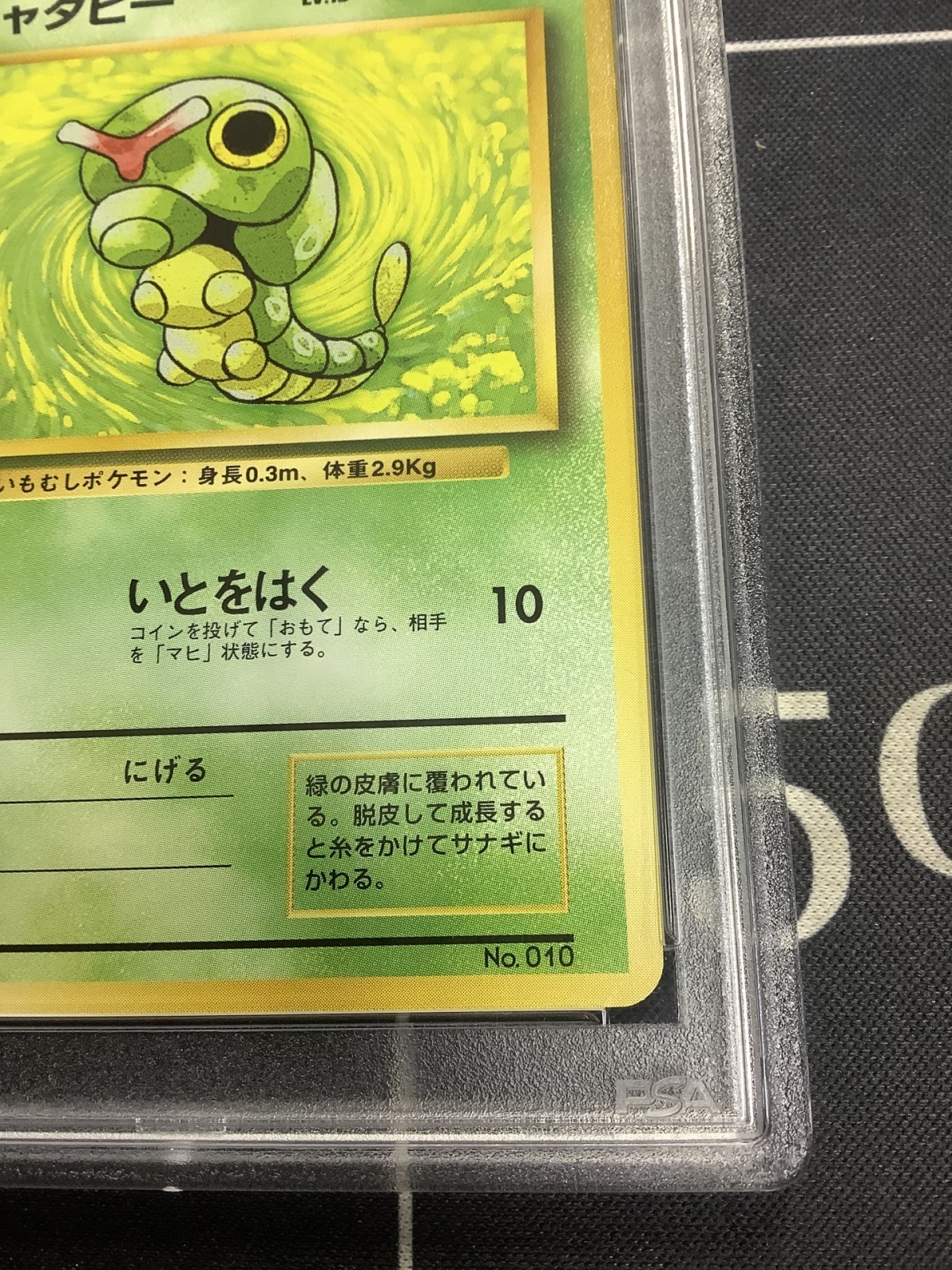 画像4: 【PSA9】キャタピー　初版 レアリティシンボルなし 第1弾  旧裏【実物写真】