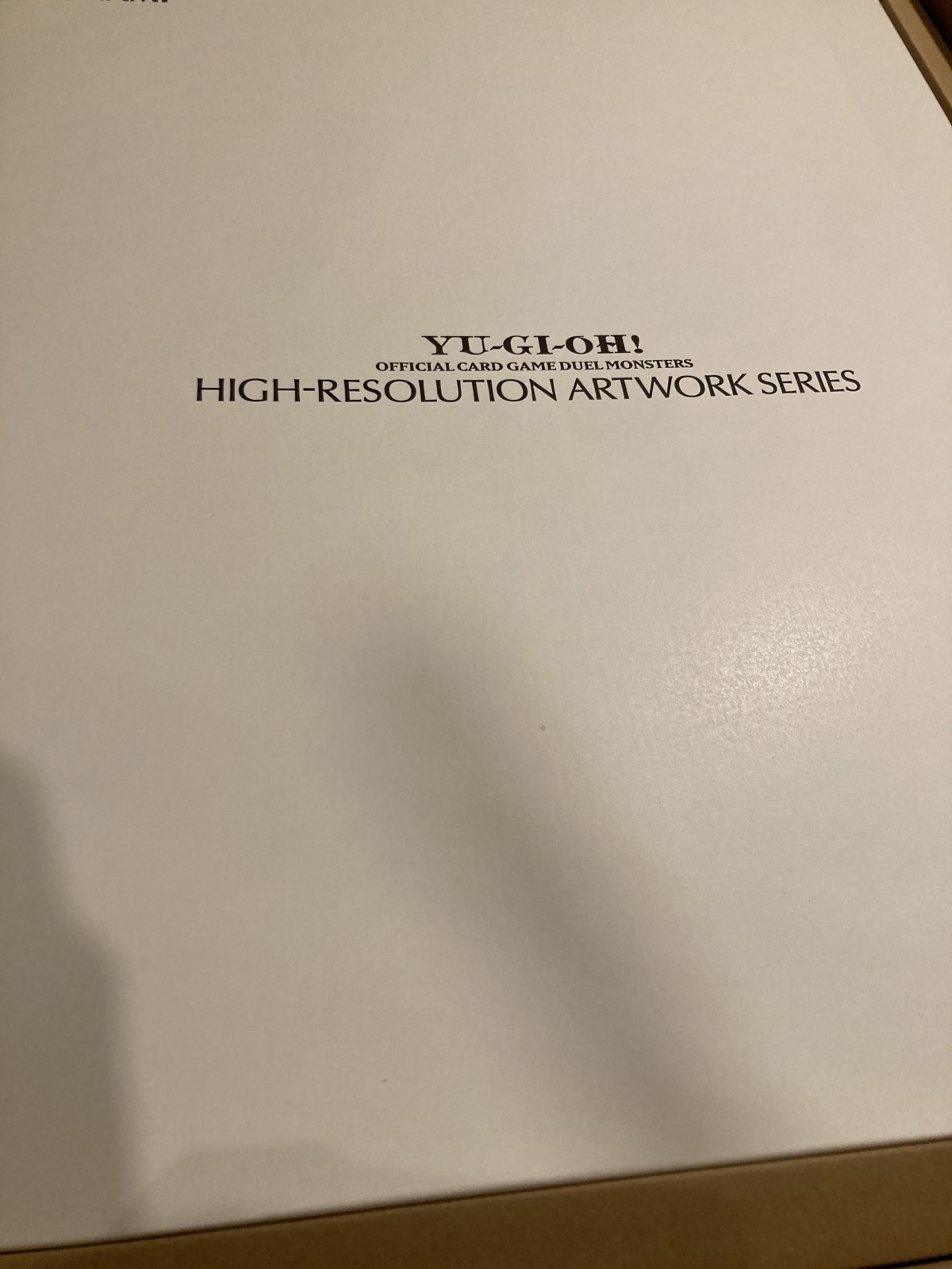 画像1: 超魔導竜騎士-ドラグーン・オブ・レッドアイズ【アートワークシリーズ】【シリアルナンバー入り】【実物写真】