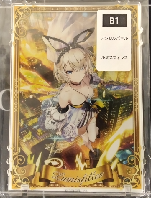 画像1: ルミス　アクリルパネル