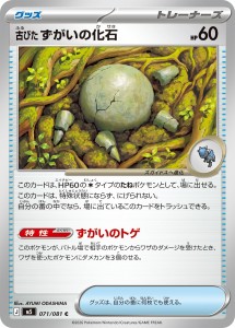 画像1: 【M5】古びたずがいの化石【C】