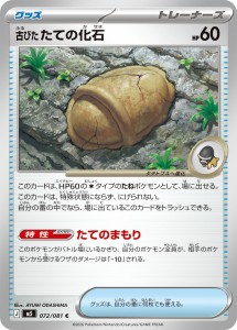 画像1: 【M5】古びたたての化石【C】