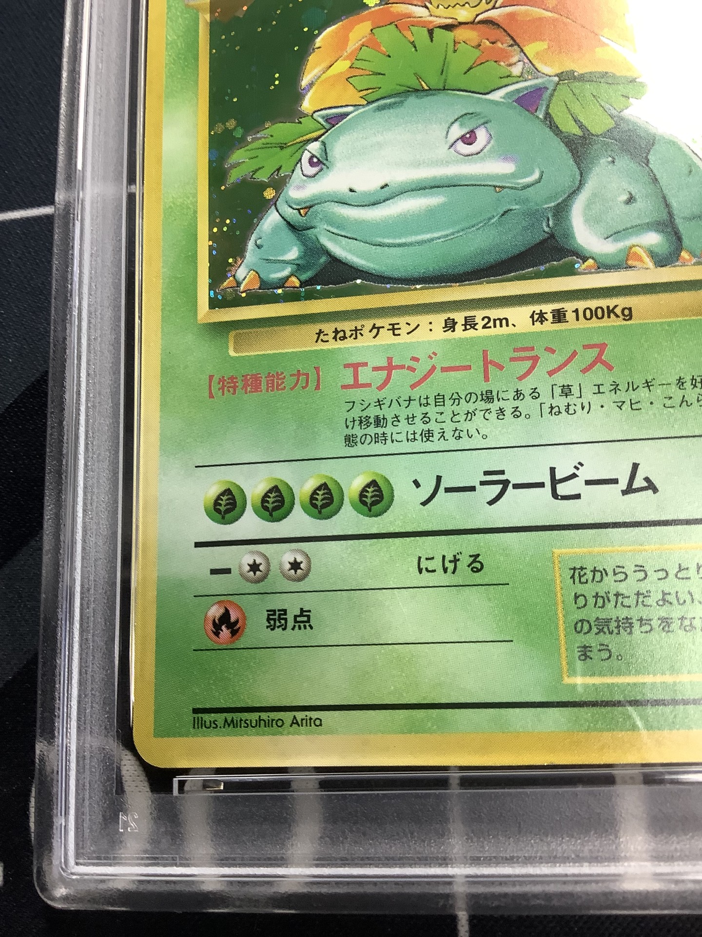 画像5: フシギバナ  初版 レアリティシンボルなし 第1弾  旧裏 【PSA6】【実物写真】