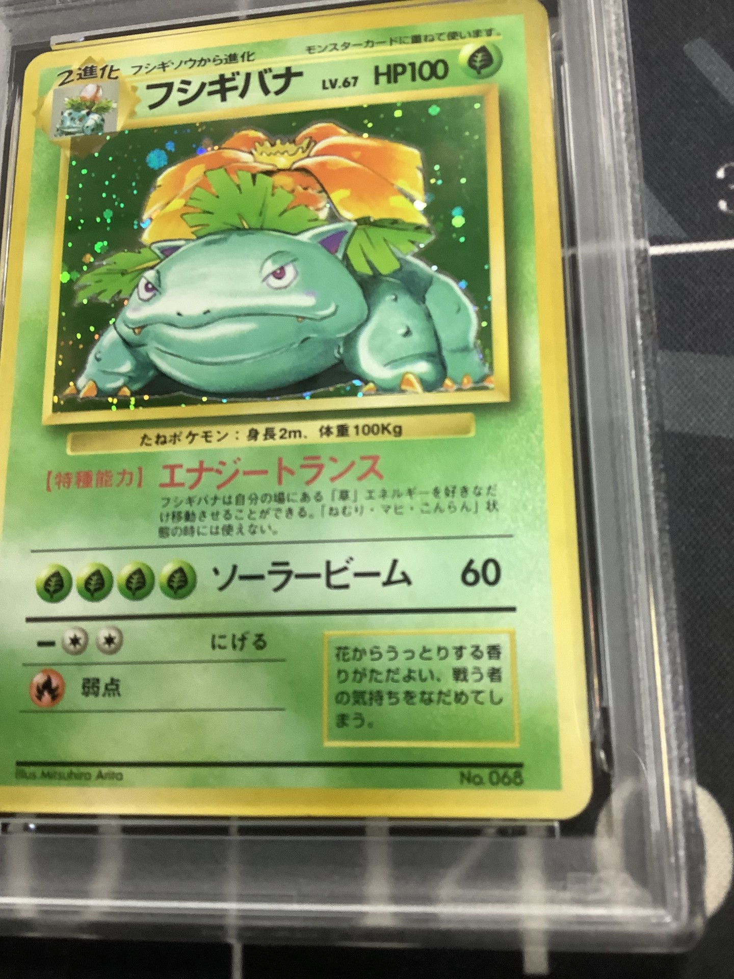 画像4: フシギバナ  初版 レアリティシンボルなし 第1弾  旧裏 【PSA6】【実物写真】