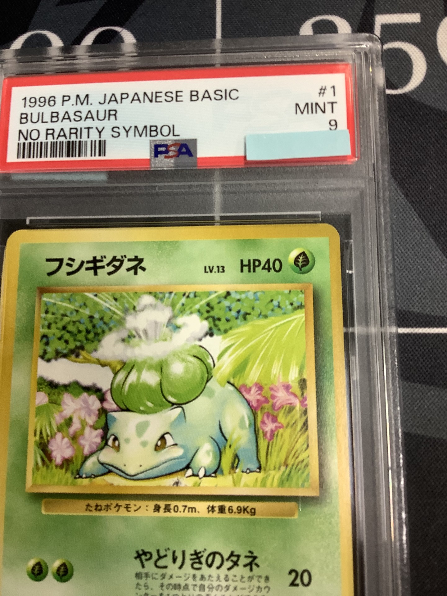 画像3: 【PSA9】フシギダネ 初版 レアリティシンボルなし 第1弾  旧裏【実物写真】