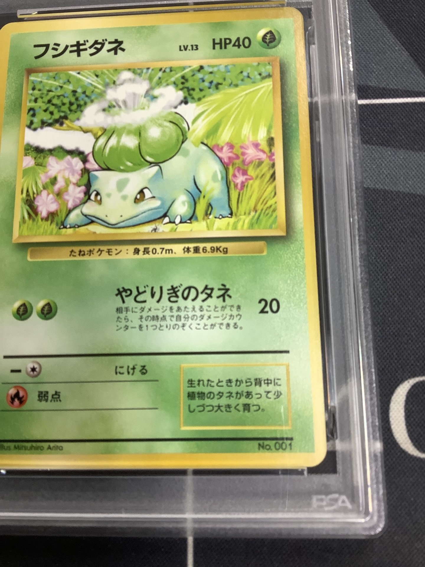 画像4: 【PSA9】フシギダネ 初版 レアリティシンボルなし 第1弾  旧裏【実物写真】