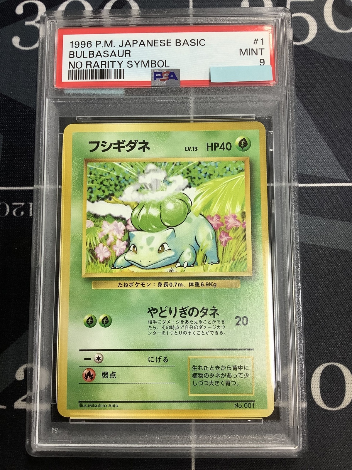 画像1: 【PSA9】フシギダネ 初版 レアリティシンボルなし 第1弾  旧裏【実物写真】