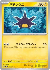 画像1: 【M6】バチンウニ【C】