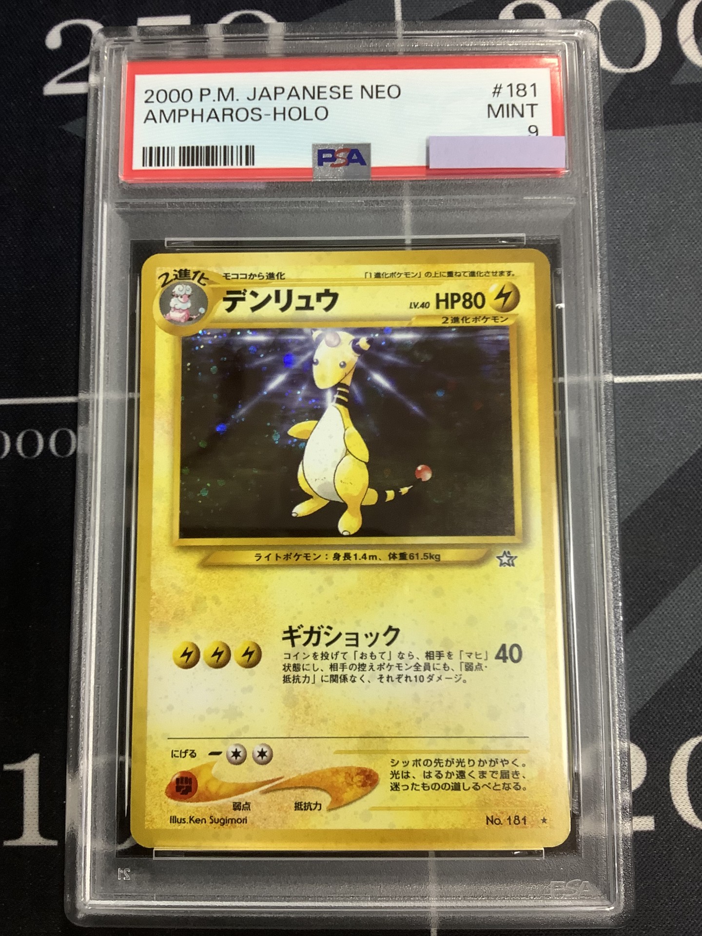画像1: 【PSA9】デンリュウ  旧裏【実物写真】