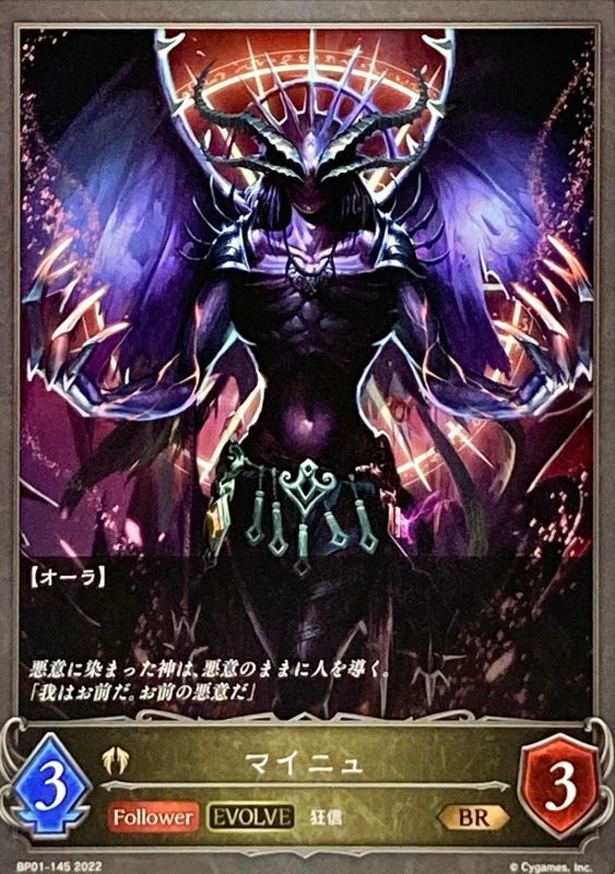 画像1: BR マイニュ(EVOLVE)