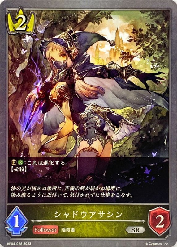 画像1: SR シャドウアサシン