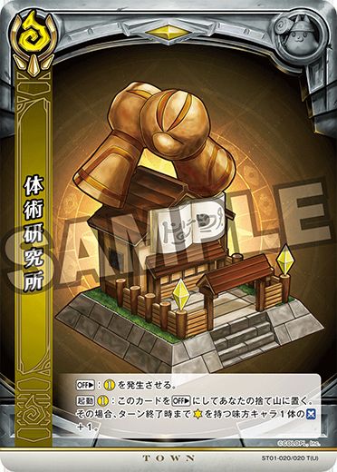 画像1: 体術研究所ST